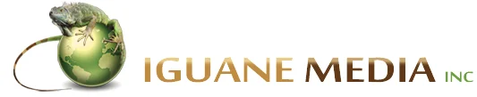 SEO, e-commerce, affiliation, Outils Web – Blog de l'Iguane